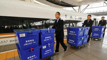 中国网新闻中心 坚守中国价值，速递时代强音